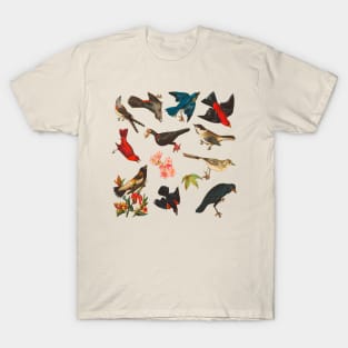 Vintage Birds Pattern T-Shirt